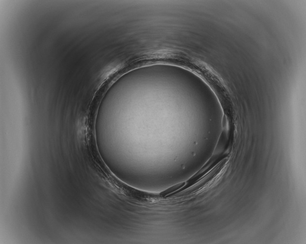 X0000116451210200912081611