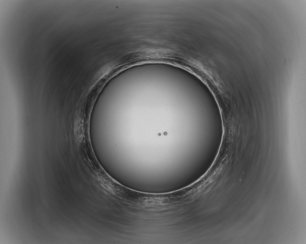 X0000116451211200912081611