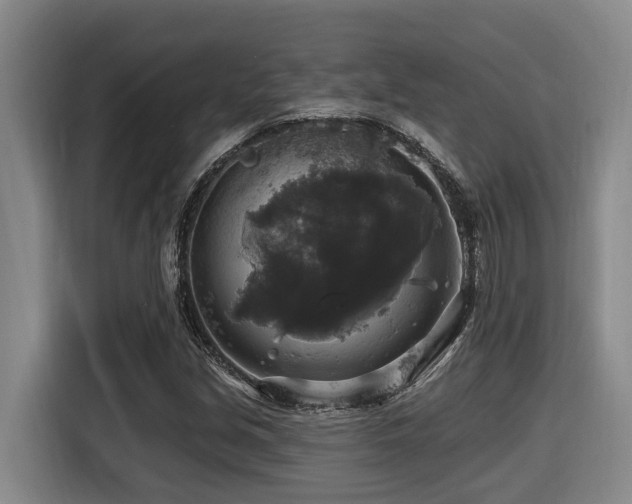 X0000116451213200912081611