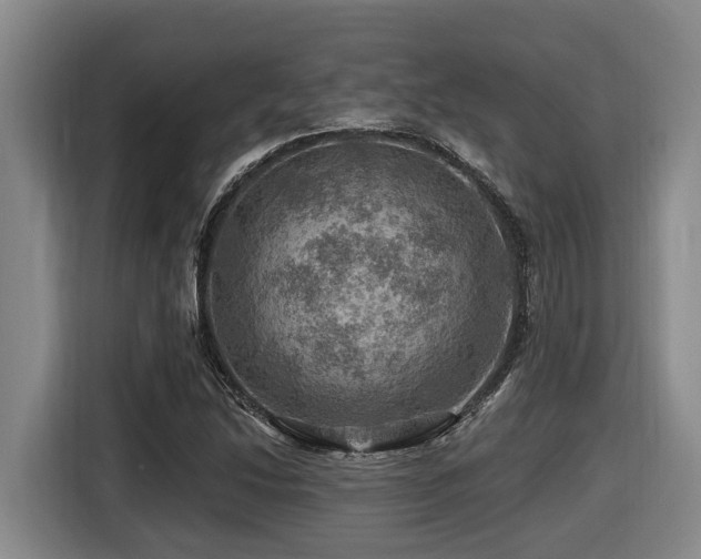 X0000116451214200912081611