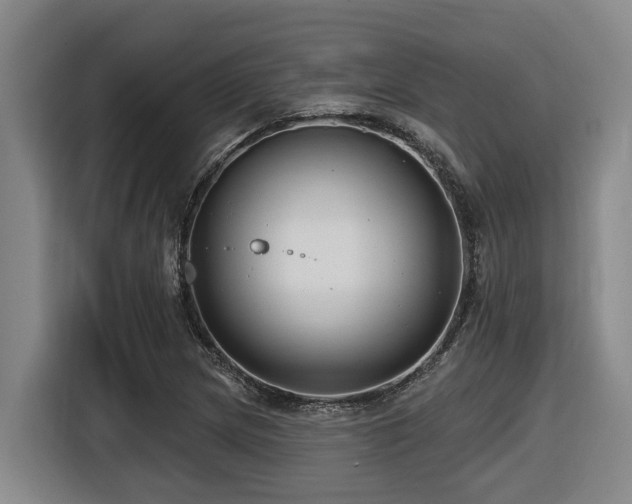 X0000116451217200912081611