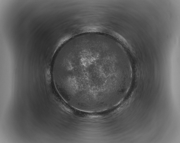 X0000116451218200912081611