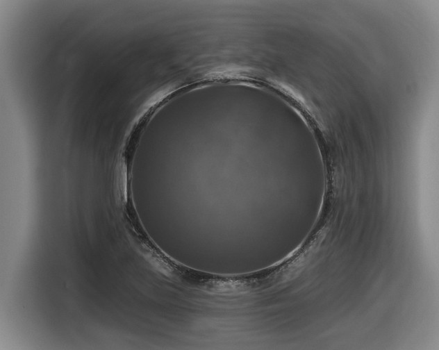 X0000116451219200912081611