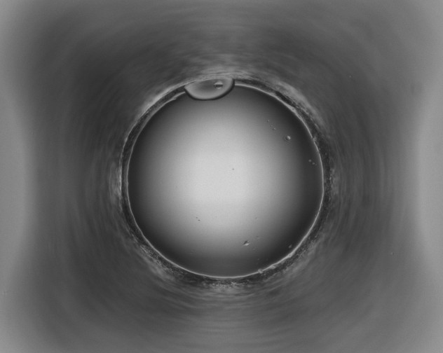 X0000116451220200912081611