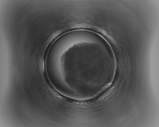 X0000116451221200912081611