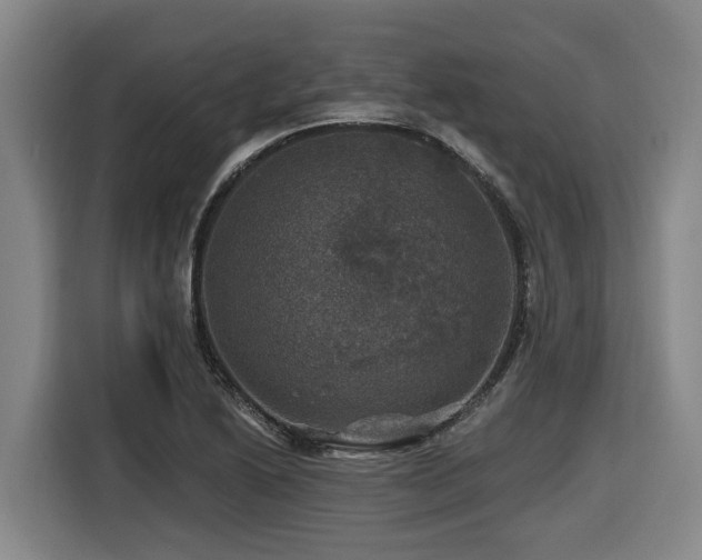 X0000116451222200912081611