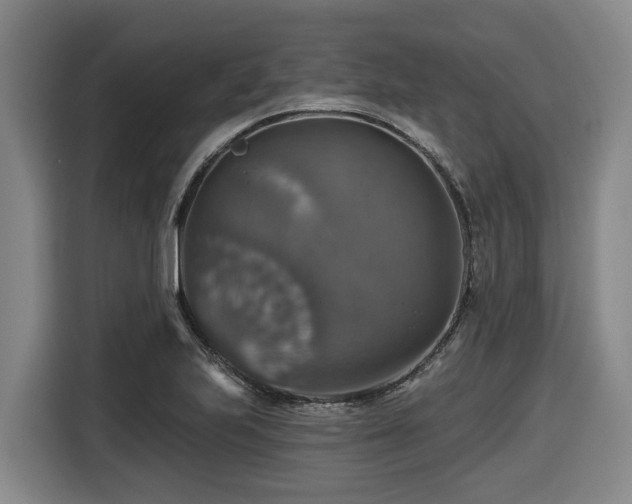 X0000116451223200912081611
