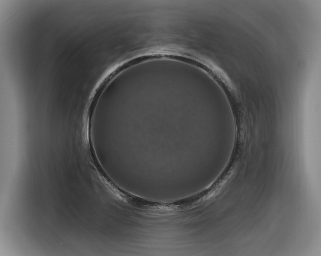 X0000116451224200912081611