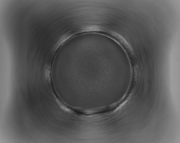 X0000116451225200912081611