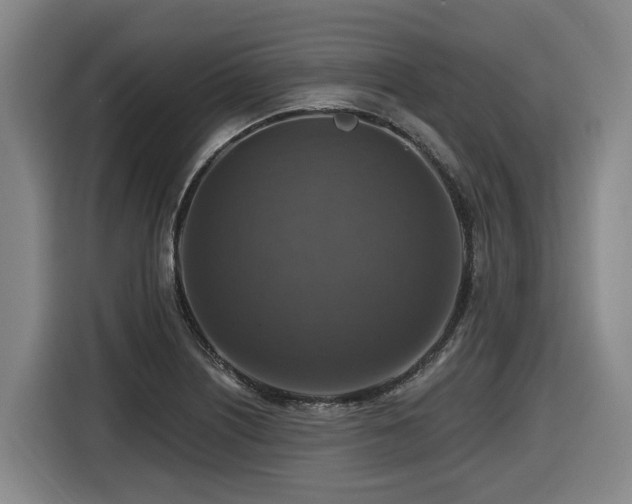X0000116451226200912081611