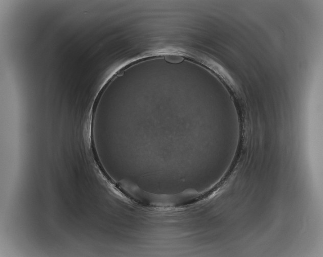 X0000116451228200912081611
