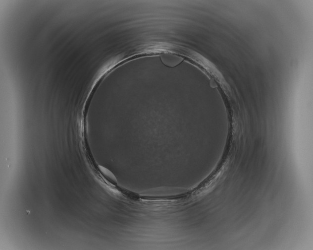 X0000116451234200912081611
