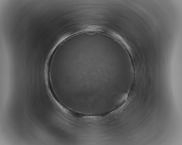 X0000116451235200912081611