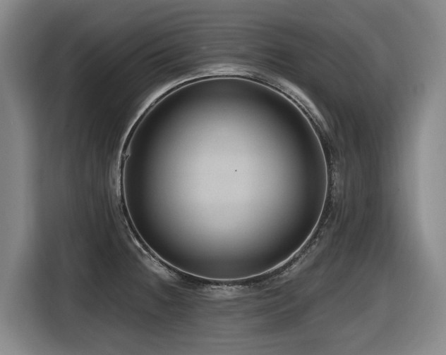 X0000116451236200912081611