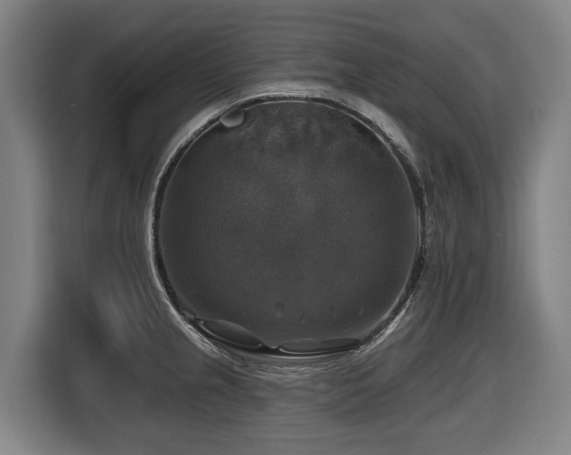 X0000116451237200912081611