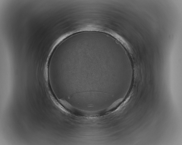 X0000116451238200912081611