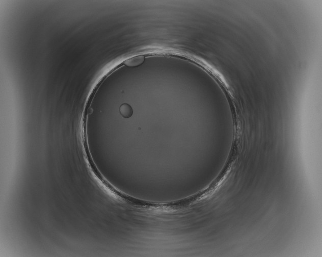 X0000116451239200912081611