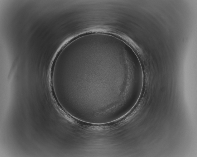X0000116451240200912081611