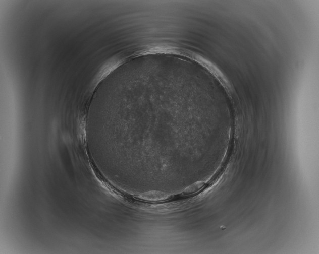 X0000116451241200912081611