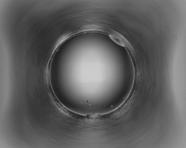 X0000116451242200912081611