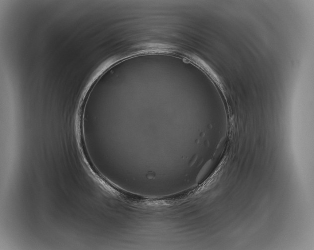 X0000116451243200912081611