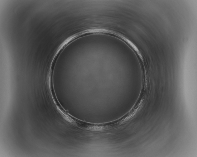 X0000116451245200912081611