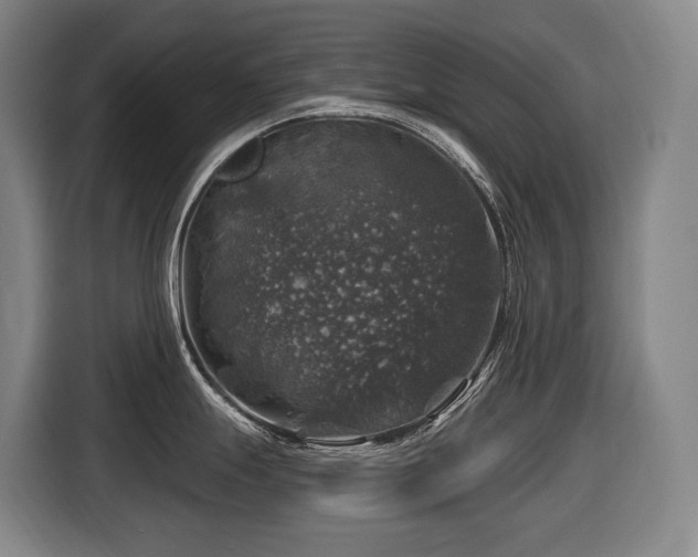 X0000116451247200912081611