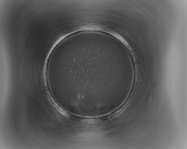 X0000116451248200912081611