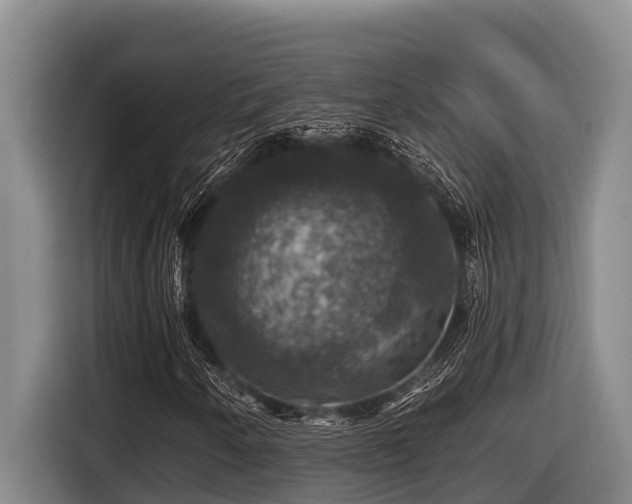 X0000116451250200912081611