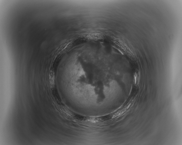 X0000116451251200912081611