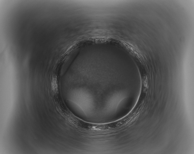 X0000116451252200912081611