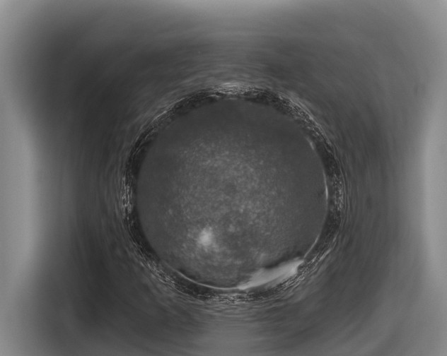 X0000116451253200912081611