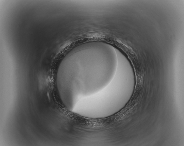 X0000116451254200912081610