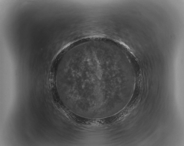 X0000116451255200912081610