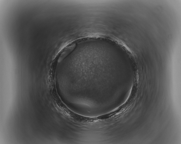 X0000116451256200912081610