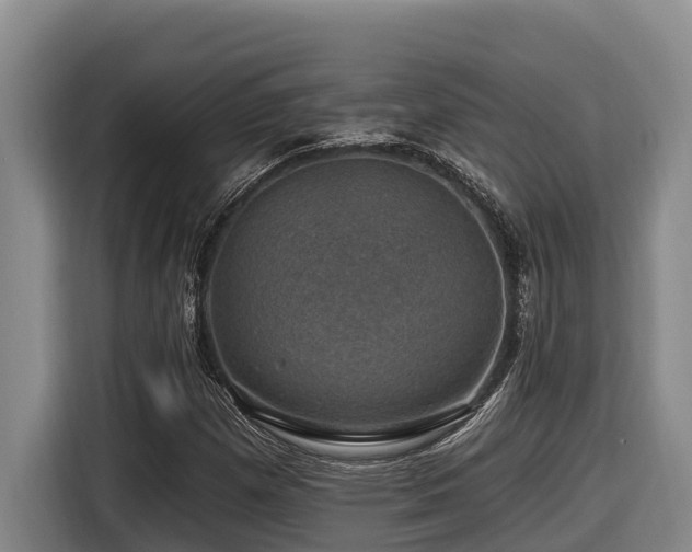X0000116451257200912081610