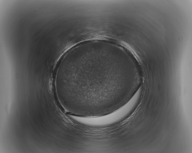 X0000116451260200912081610