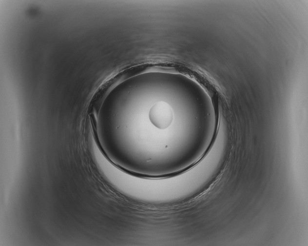 X0000116451261200912081610