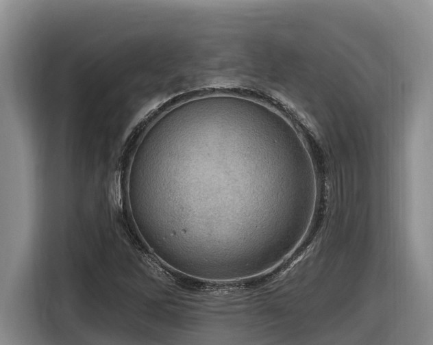 X0000116451262200912081610