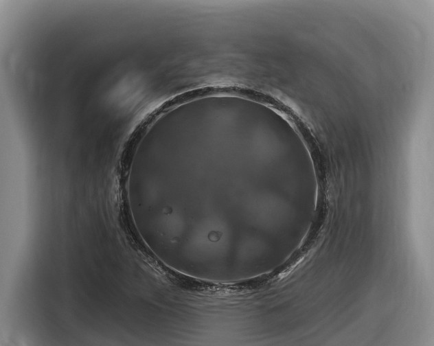 X0000116451263200912081610