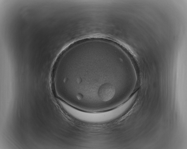 X0000116451264200912081610