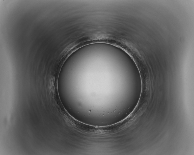 X0000116451265200912081610