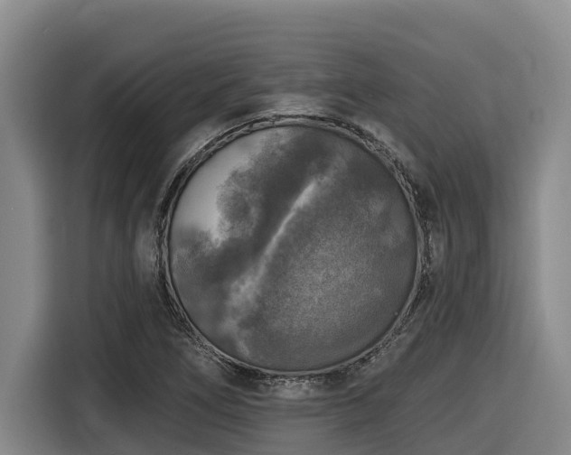 X0000116451266200912081610