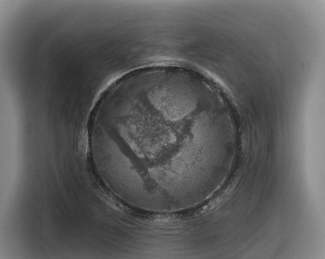 X0000116451267200912081610