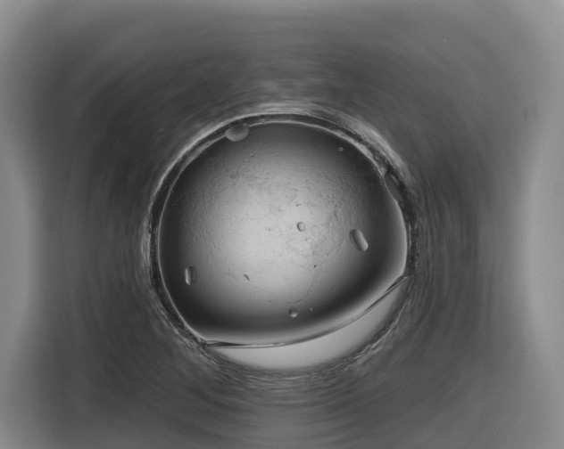 X0000116451268200912081610