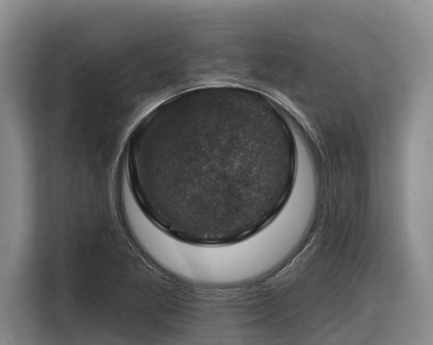 X0000116451269200912081610
