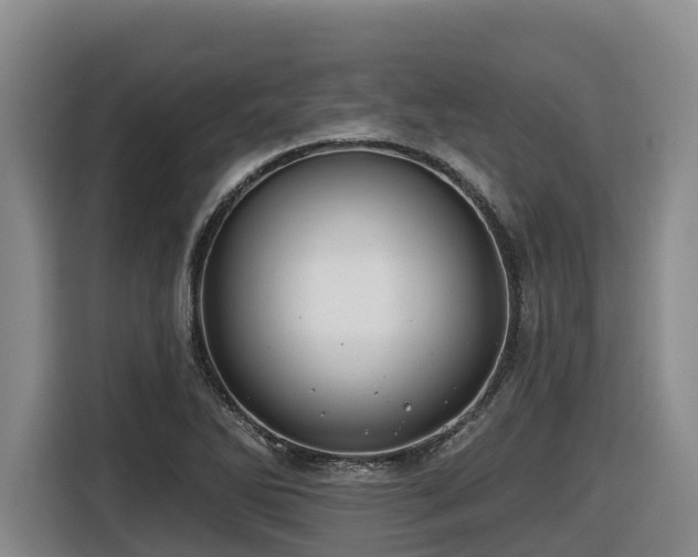 X0000116451270200912081610