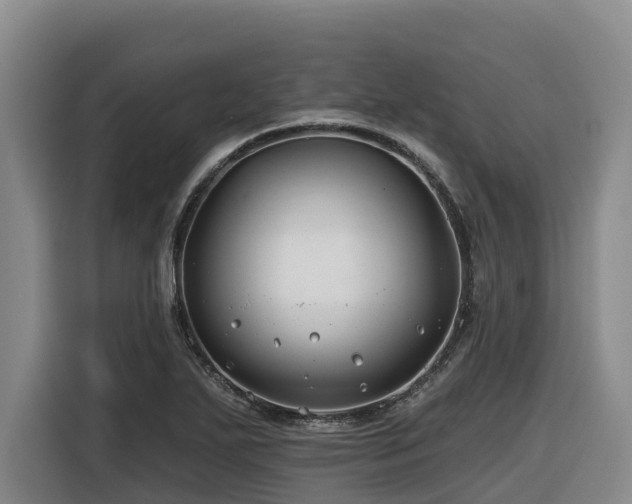 X0000116451271200912081610