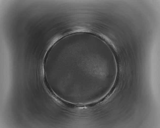X0000116451274200912081610