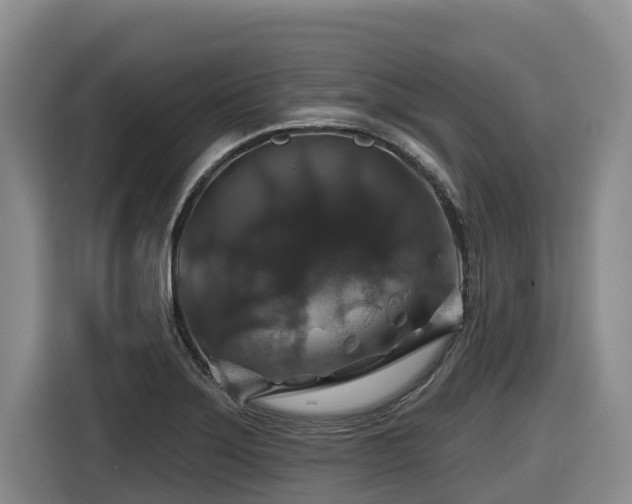 X0000116451275200912081610